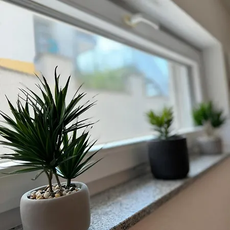 Blossom Garden View - Klimatisiert * 腓特烈港